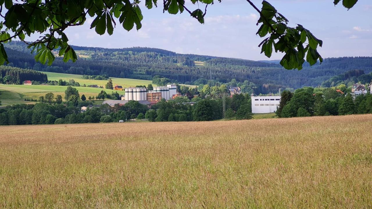 Pension Wernesgruen Exterior foto